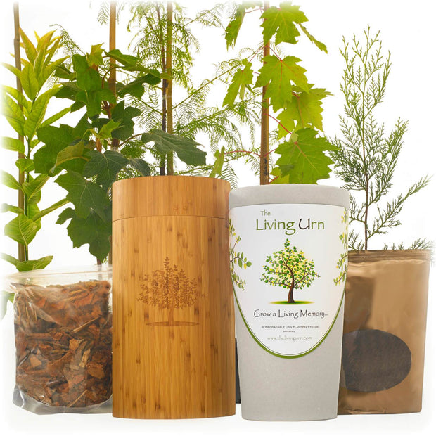 Living Urn | Prodct images of living urn for pets turning into trees, plants and or flowers. Urns available for purchase.