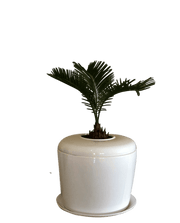 The Living Urn Indoors / Patio for Pets