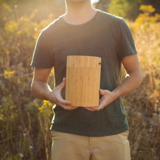 Living Urn UK | Product image of biodegradable bamboo urn. Tree burials.